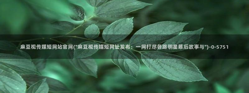 麻豆高清导航：麻豆视传媒短网站官网(\
