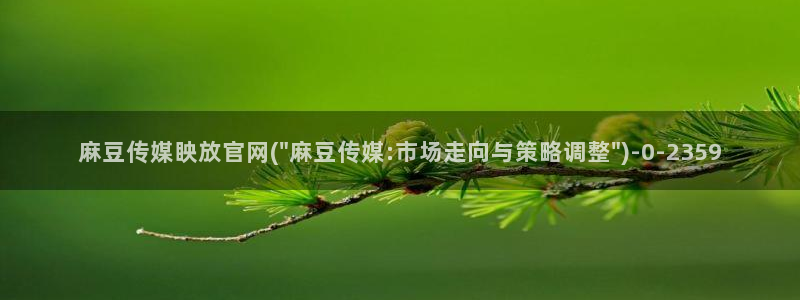 麻豆视频 完整版页面：麻豆传媒眏放官网(\