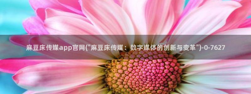 麻豆视频推荐导航：麻豆床传媒app官网(\