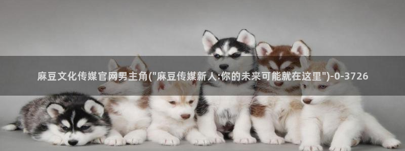 麻豆视频内容入口：麻豆文化传媒官网男主角(\