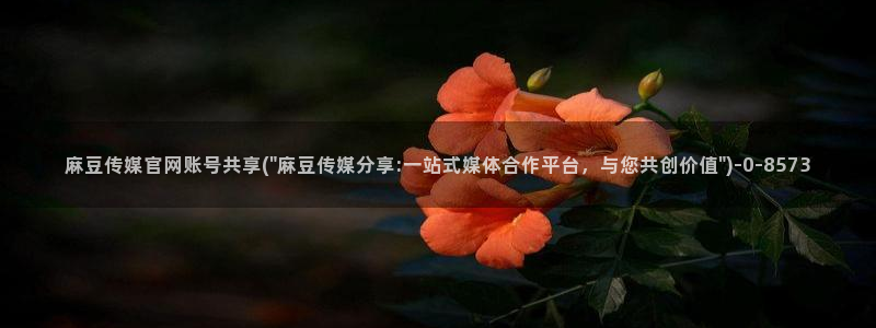 麻豆视频 系列视频：麻豆传媒官网账号共享(\
