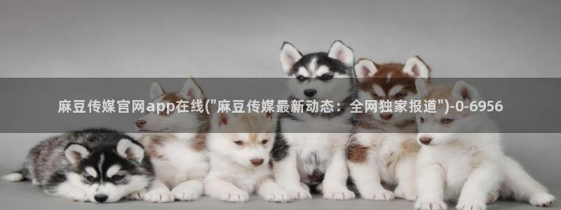 麻豆完整版完整版：麻豆传媒官网app在线(\
