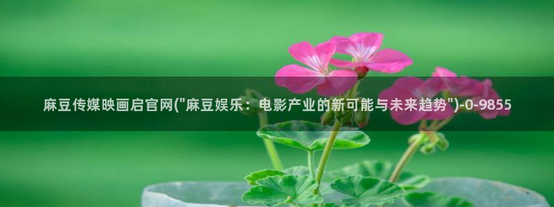 麻豆更新推荐：麻豆传媒映画启官网(\