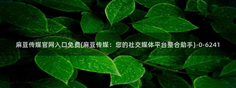 麻豆视频资源最新：麻豆传媒官网入口免费(麻豆传媒：您的社