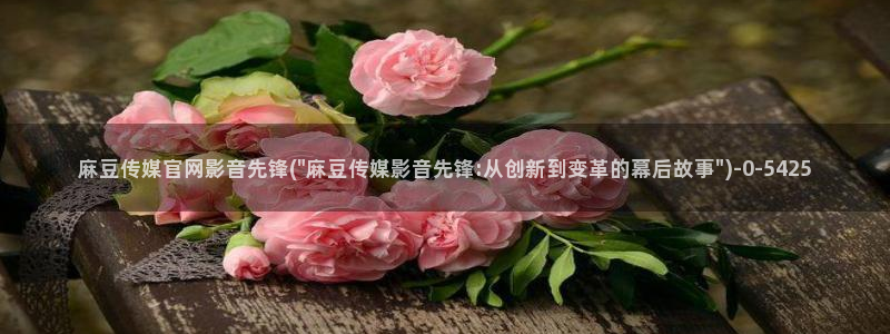 麻豆视频 精选完整版：麻豆传媒官网影音先锋(\
