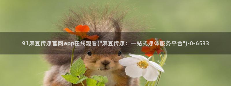 麻豆视频合集下载：91麻豆传媒官网app在线观看(\