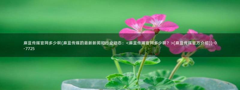 麻豆视频 完整版完整版：麻豆传媒官网多少啊(麻豆传媒的最新新闻和行业动态：<麻豆传媒官网多少啊？>(麻豆传媒官方介绍))