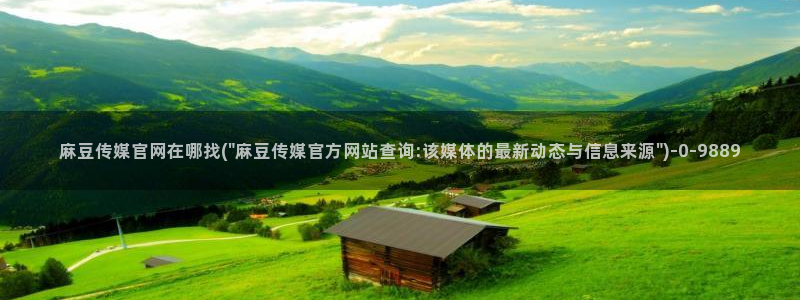 麻豆视频图集在线看：麻豆传媒官网在哪找(\