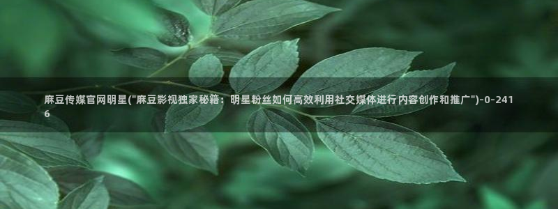 麻豆更新在线看：麻豆传媒官网明星(\