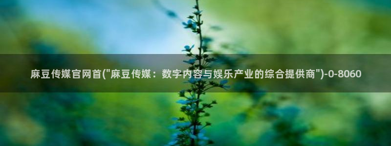 麻豆高清高清：麻豆传媒官网首(\