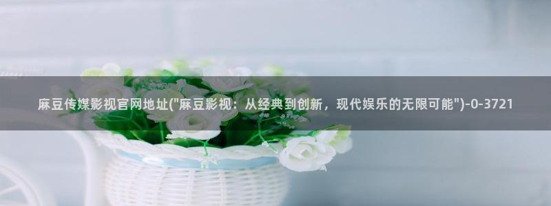 麻豆视频 更新导航：麻豆传媒影视官网地址(\