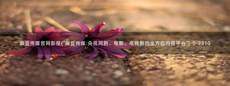 麻豆视频 最新入口：麻豆传媒官网影视(\