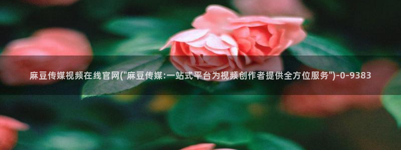 麻豆视频高清更新：麻豆传媒视频在线官网(\