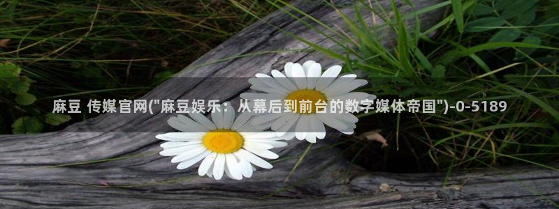 麻豆视频热门整理：麻豆 传媒官网(\