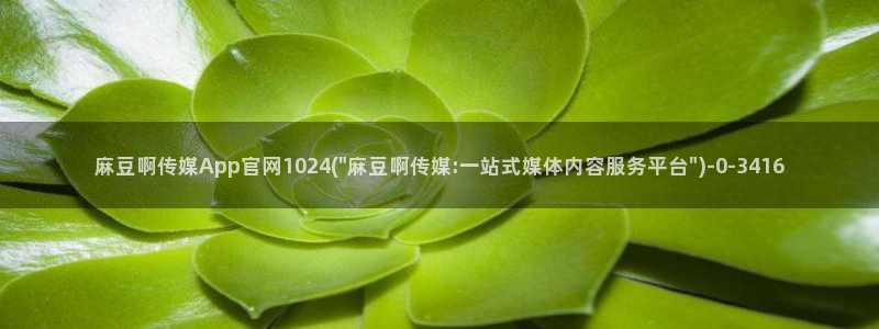 麻豆视频图集最新